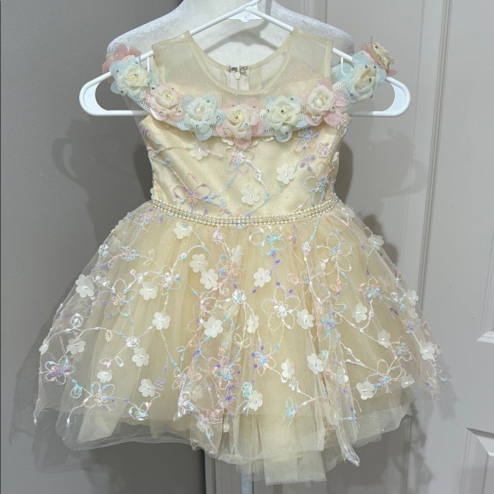 Floral Embellished Cream Princess Dress Tutu Size 4T